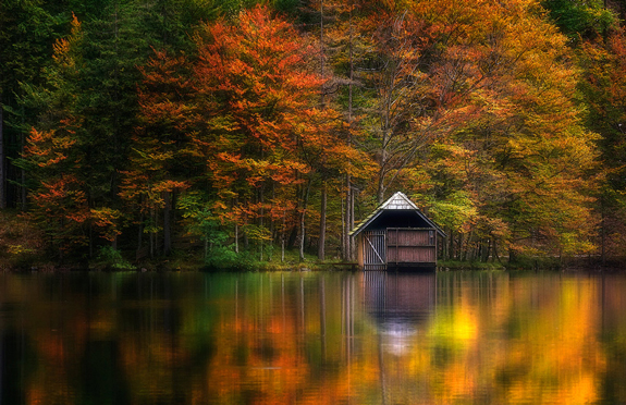 Herbstlight - Nature Photo